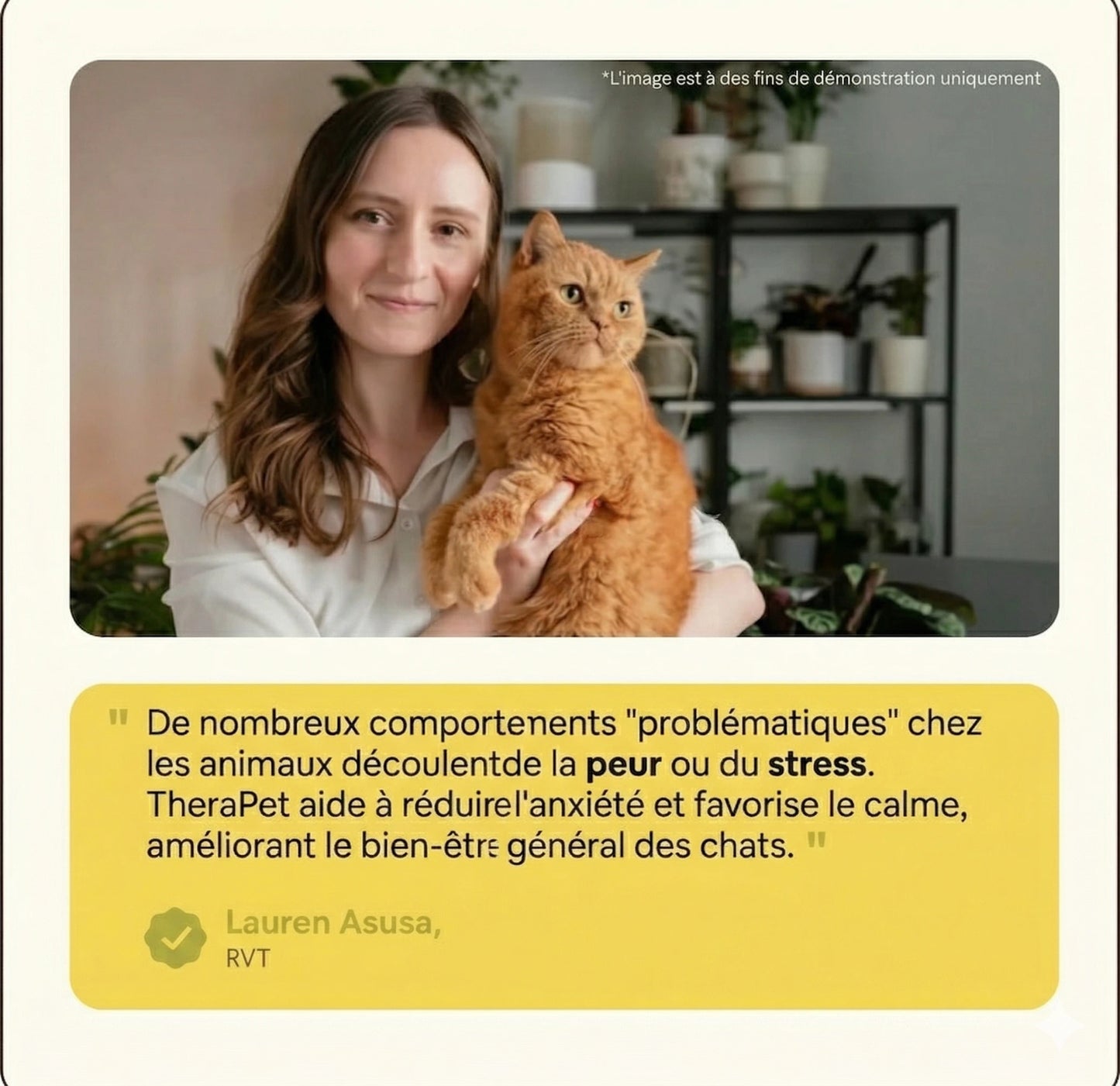 Felivia : Diffuseur de phéromone apaisant pour chat
