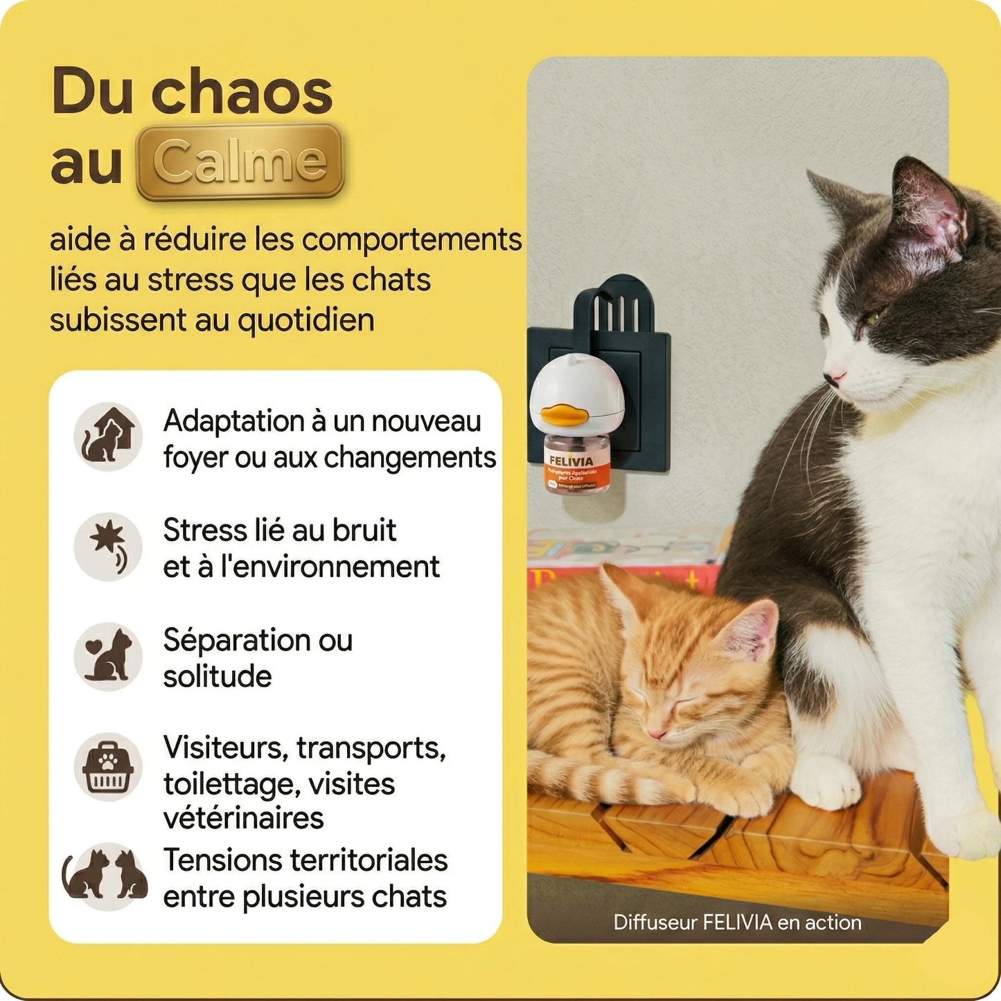 Felivia : Diffuseur de phéromone apaisant pour chat