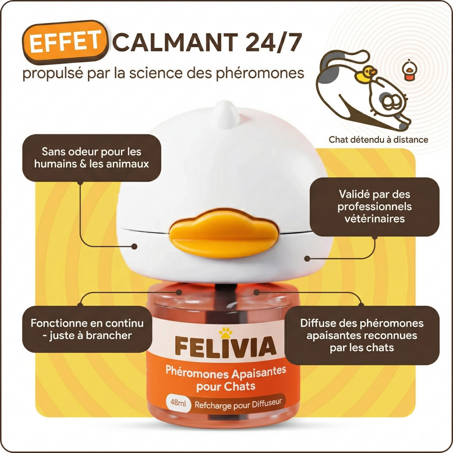 Apaisez votre chat anxieux en quelques jours — sans médicaments