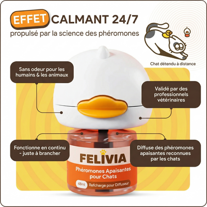 Apaisez votre chat anxieux en quelques jours — sans médicaments